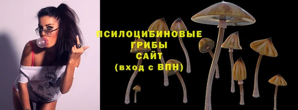 марки lsd Фёдоровский