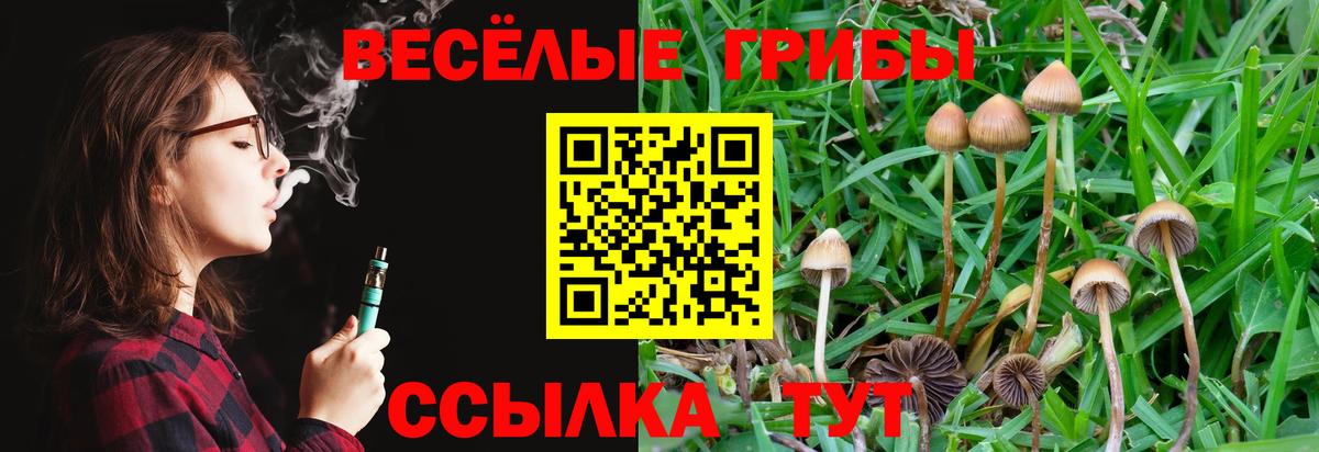 Псилоцибиновые грибы GOLDEN TEACHER Сибай