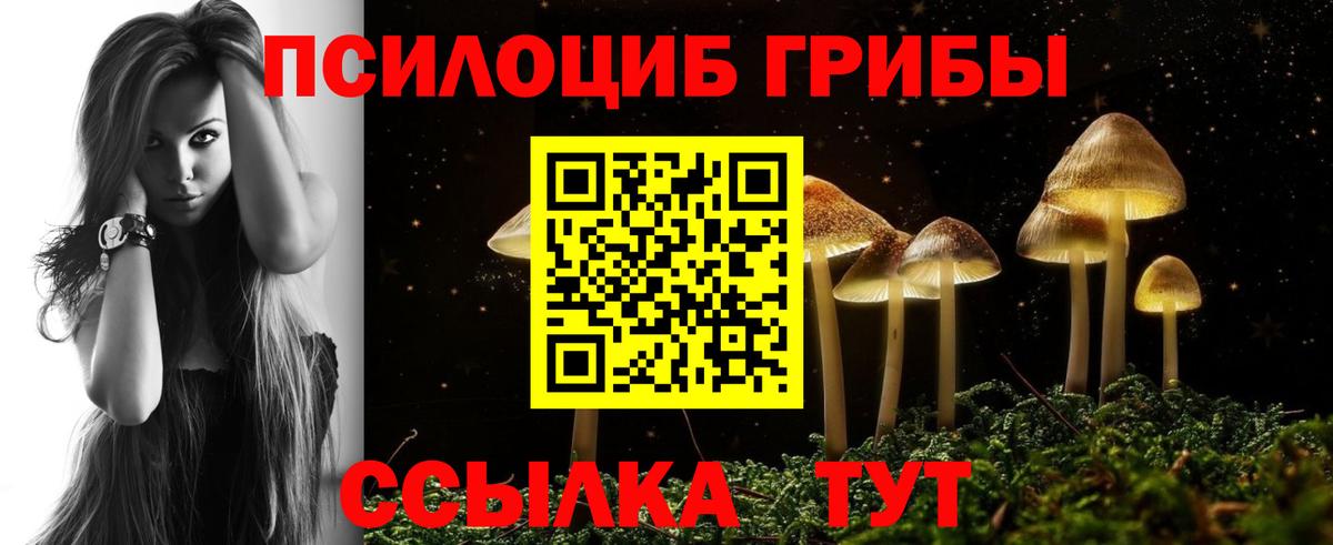 Сибай  Псилоцибиновые грибы MAGIC MUSHROOMS  Вход с VPN 