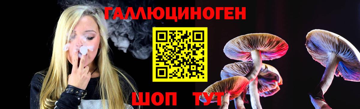 Псилоцибиновые грибы Psilocybe  Галлюциногенные грибы мицелий  цены   Сибай 